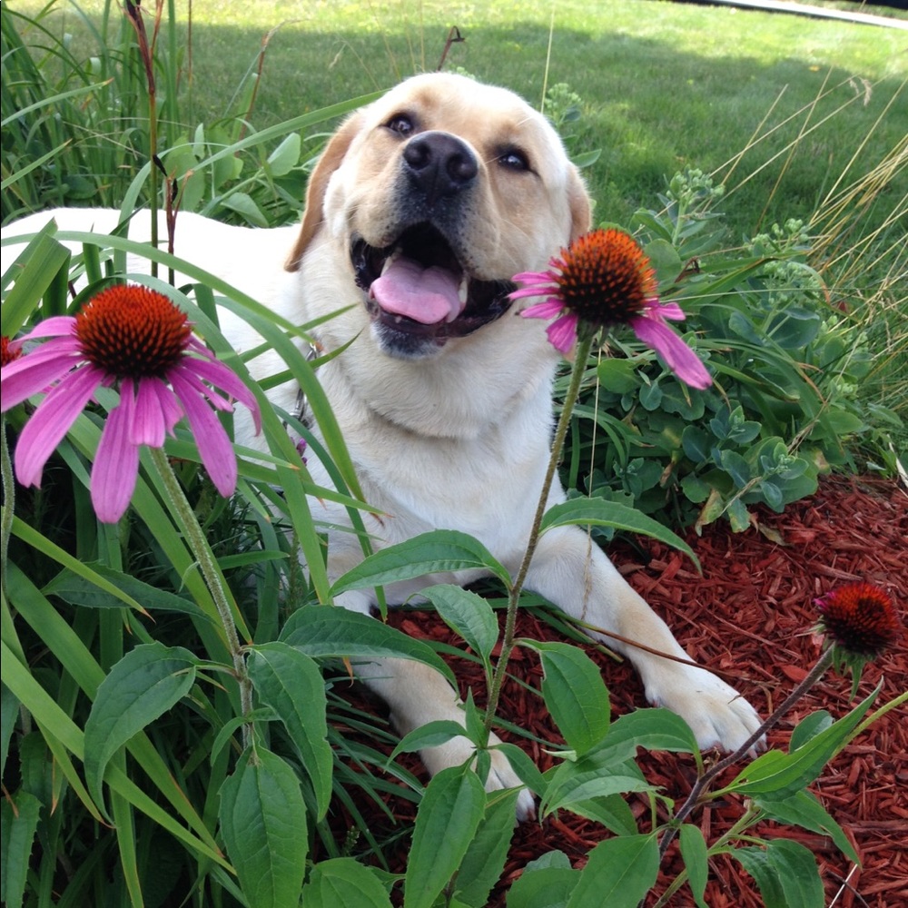 Meet your Posher, Robin